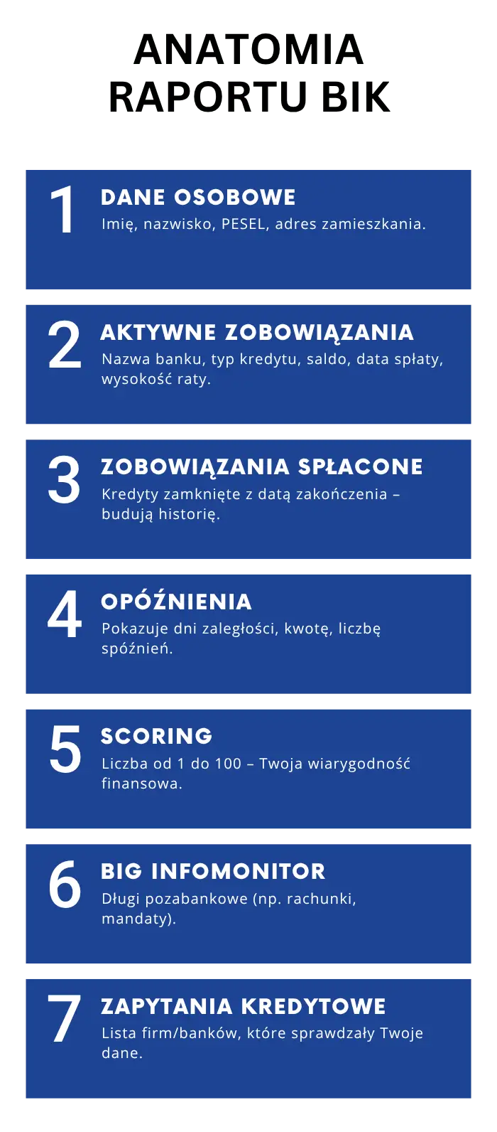 Anatomia raportu BIK